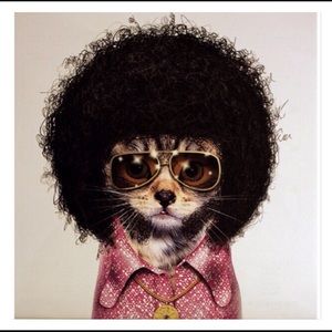 Meet your Posher, Tomace